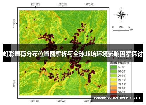 虹彩蔷薇分布位置图解析与全球栽培环境影响因素探讨
