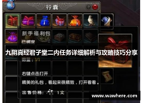 九阴真经君子堂二内任务详细解析与攻略技巧分享